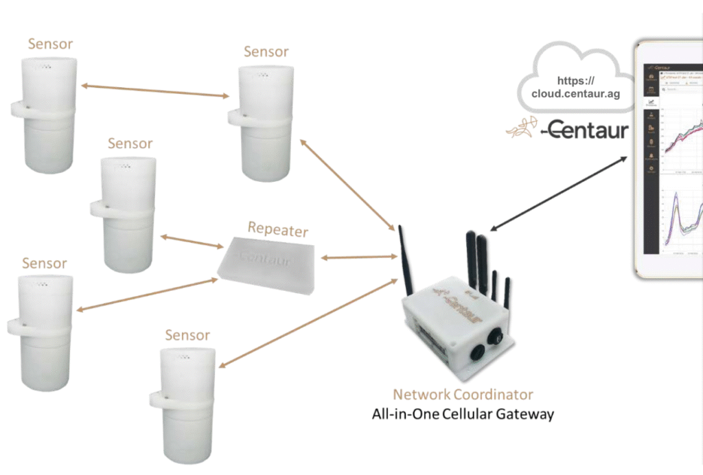 Centaur network architecture