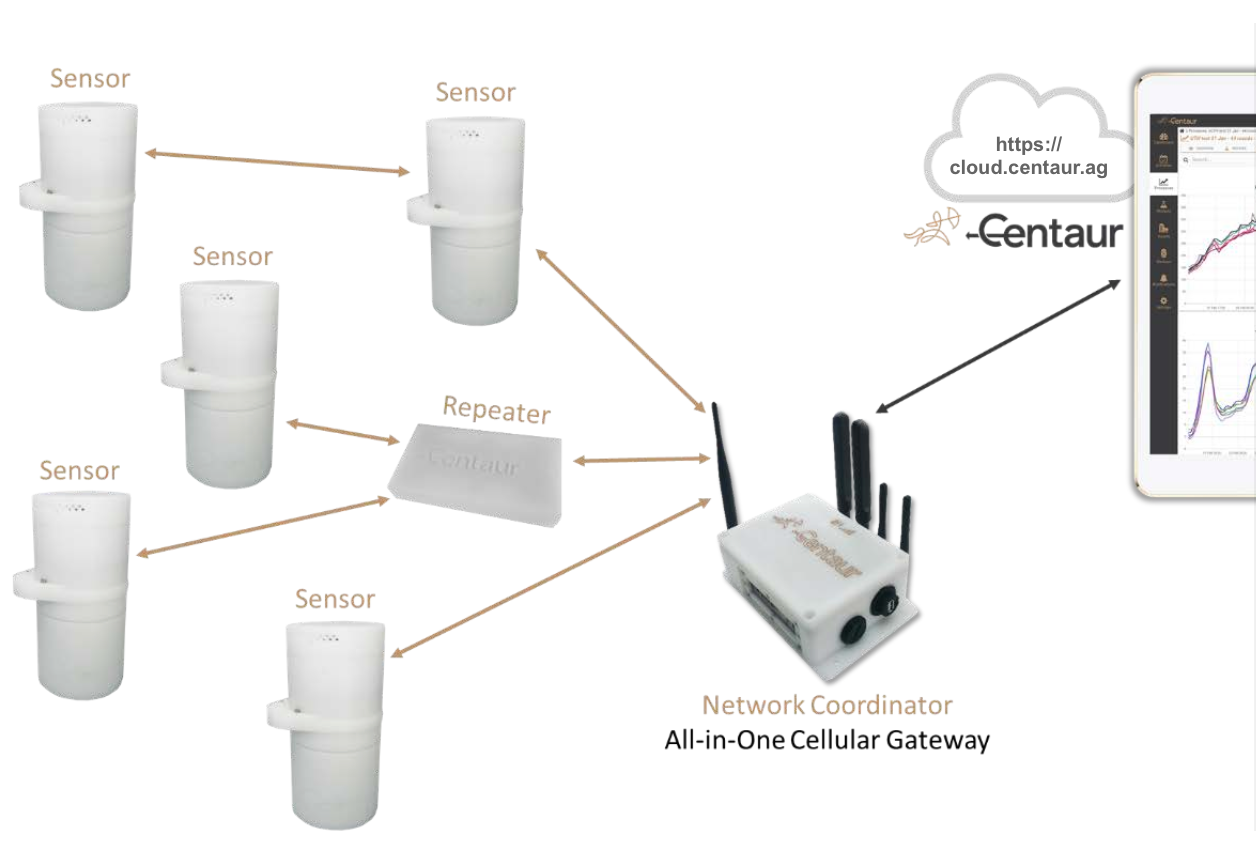 Centaur network architecture